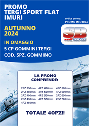 PROMO SPAZZOLE IMURI (40 SPAZZOLE ASSORTITE)